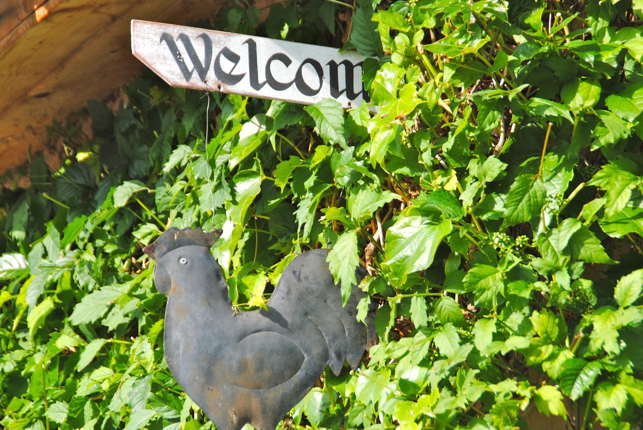 B&B La Badelle Gordes Exterior photo